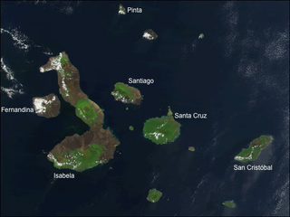 Illustration for article titled The Life and Death of a Volcanic Island